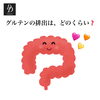 「グルテンはどのくらいで抜ける？グルテンフリー」