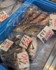 「おすすめはタコの刺身🐙」