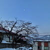 「Sunday, 11th January 2026」