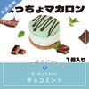 トゥンカロン🍃チョコミント「📣太っちょマカロン充実中📣」