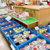 「山のアスパラガス 極太『しおで』が入荷する事も⁈」
