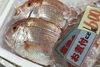 「魚魚市場鮮魚コーナーおすすめは「イサキ」です♪」