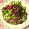 ボッチの肉サラダ ～牛スジの旨ソテーとガーリックチップ～