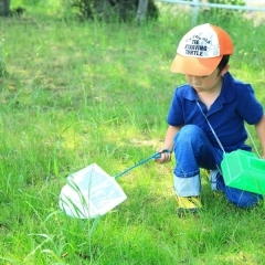 どんな昆虫が見つかるかな？！　船橋でおすすめの虫取りスポット6選