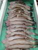 ヒレ黒カレイ干物「📣本日のお魚情報🐟」