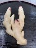 新生姜「春のかおり」