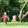 市川市で親子で楽しめる公園情報まとめ