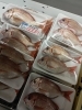 「岩がき3サイズ＆京都府産真イワシ・赤い旬魚が入荷しました！」