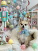 ラムちゃん「MerryXmas🎄」