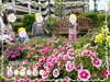 お花きれいだね〜♡「地震の時のお約束！【交野市・小規模保育園】」