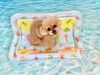 さらんちゃん「波とわんこ🌊」