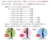 お年玉抽選会ルール「当選おめでとうございます！」