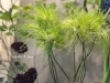 アリウム　ヘアー「涼を楽しむ」