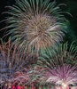花火もシーズン🎇「暑中お見舞申し上げます🍉」