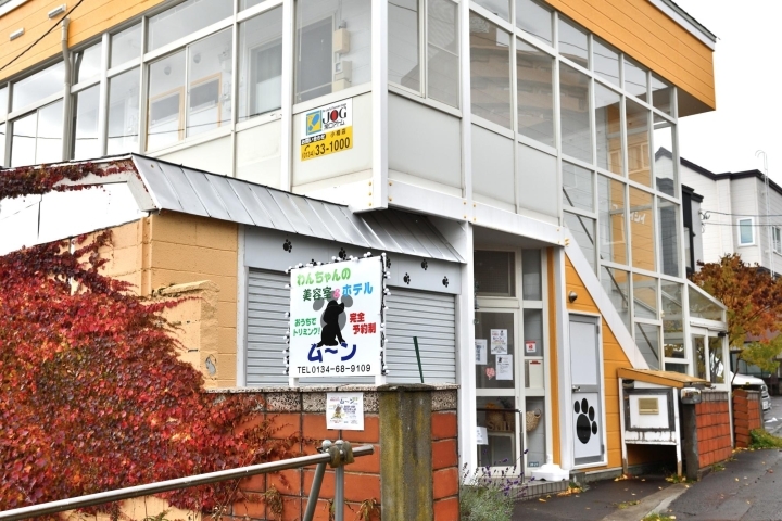 おうちでトリミング わんちゃんの美容室 ホテル ムーン 新店特集 小樽 後志の新店情報 まいぷれ 小樽市 おうちでトリミング わんちゃんの美容室 ホテル ムーン 新店特集 小樽 後志の新店情報 まいぷれ 小樽市