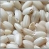 低農薬　有機栽培　もち米　玄米　5ｋｇ