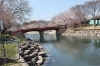 羽ノ浦桜づつみ公園・岩脇公園