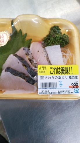 「【本日のおすすめ桂の鮮魚店　桂魚伊】」