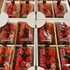 「「いちご屋のししど」さんの「いちご(とちおとめ)」の入荷が始まりましたよー♪♪」