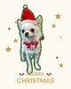 「Dog salon mofu mofu　余市町」