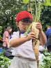 「保育参観・大根掘り」