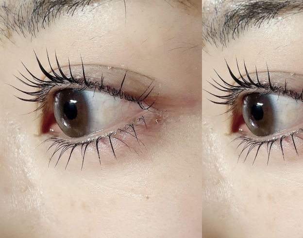 上下まつ毛パーマ でデカ目効果 Eyelash Eyebrowsalon Soeca Belinda ソエカベリンダ のニュース まいぷれ 松江 上下まつ毛パーマ でデカ目効果 Eyelash Eyebrowsalon Soeca Belinda ソエカベリンダ のニュース まいぷれ 松江