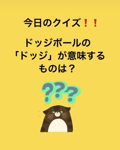 「1月21日木曜日、今日のクイズ!!『ドッジボールの「ドッジ」が意味するものは？』答えは投稿で…本日のおすすめmenu✨ぶりかつ丼……680円…7枚入です。」