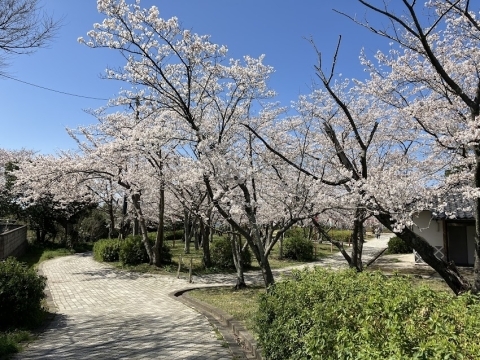 西伯郡大山町　名和公園