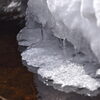 こんな素敵な出会いもあります「3月でも楽しめる入笠山スノートレッキング❄︎」