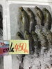 「魚魚市場鮮魚コーナーおすすめは「地タコ」です♪」