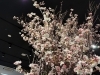 「桜の装飾を造花で設置しました！」