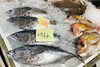 「魚魚市場鮮魚コーナーおすすめは「天然鯛・アジ」入荷しました♪」