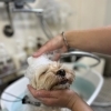 「BUBBLES DOG川口店　まいぷれ限定キャンペーン【まいぷれ川口掲載最新情報】」