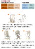 「【商品】Elujuda｜ヘアーメイク　カラーズ」