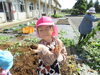 かわいいお芋でしょ♡「さつまいも掘り体験」