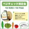 「昨日何食べた！？野菜摂取量を測ってみよう🍅🥦」