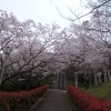 日峯大神子広域公園　こども広場