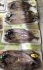「魚魚市場鮮魚コーナーおすすめは「のどぐろ」「殻付き牡蠣とサザエのセット」です♪」