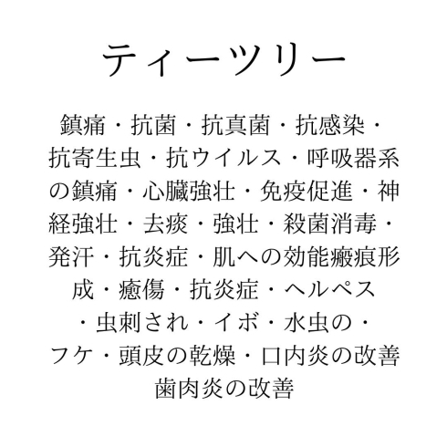 アボリジニさん達、尊敬「花粉症の症状にお悩みのあなたへ」