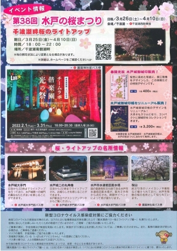 「[旅行] 水戸市「観光漫遊バス－桜とライトアップ編－」が走ります」