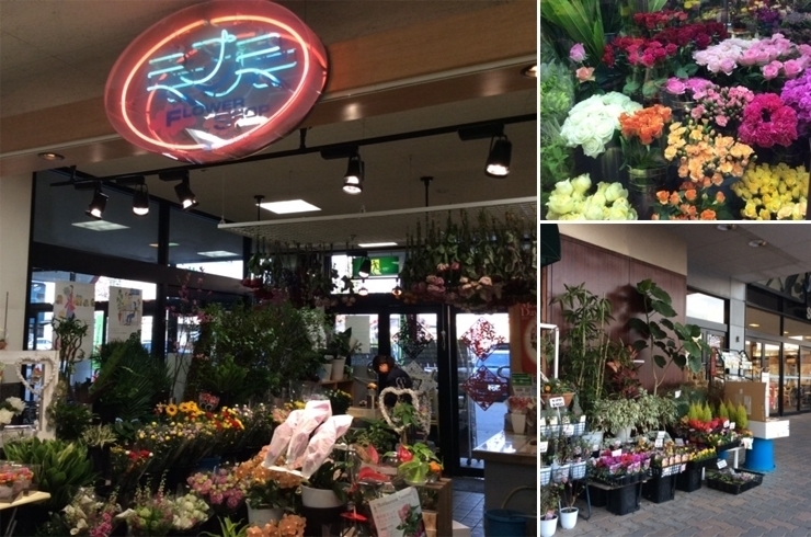 ミナミフラワーショップ 花キューピットでお花じかん まいぷれ 黒部 入善 朝日 ミナミフラワーショップ 花キューピットでお花じかん まいぷれ 黒部 入善 朝日