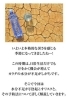 暑い日こそ意識を「【\体調管理の鍵!/水分不足が引き起こすリスクと予防法】」