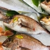 「魚魚市場鮮魚コーナーおすすめは「養殖シマアジ」です♪」