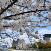 「仕事大好き人間🌸昨日は家族DAY満喫」