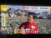 今週末も気温が高めの予報となり、雨は？？「☆カラフル野菜の小山農園、フジテレビ『Live news イット！』無事にオンエア☆」