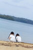「海をバックに！きょうだい3人の元気いっぱいファミリーフォト」
