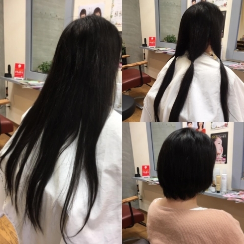 ヘアドネーションって Hair Salon Daisyのニュース まいぷれ 松山 伊予 東温 松前 砥部 ヘアドネーションって Hair Salon Daisyのニュース まいぷれ 松山 伊予 東温 松前 砥部