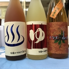 千葉県の地酒甲子でお馴染みの飯沼本家さんの果実酒です