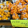 「魚魚市場鮮魚コーナーおすすめは「お魚セット」「ハウスみかん」です♪」