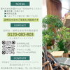 「株式会社プレステージ・インターナショナル 新潟BPO魚沼テラス、説明会・選考会のお知らせ！」